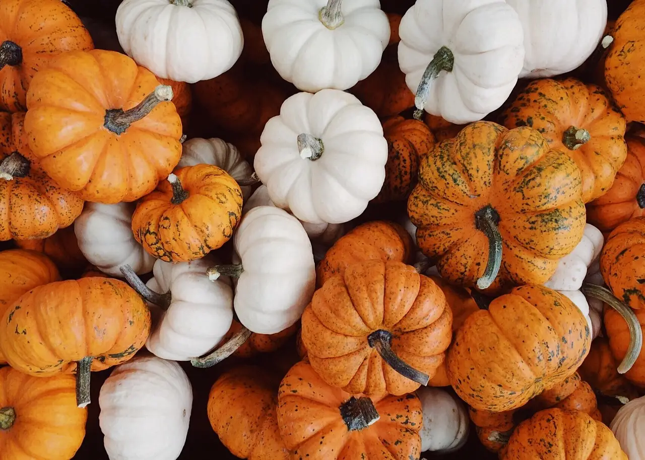 Pumpkin Magic - Decor and Garden Tips